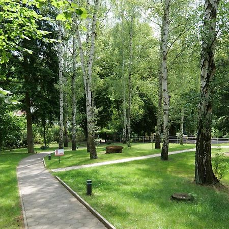 Penzion Harmony Javornik Ctyrkoly المظهر الخارجي الصورة